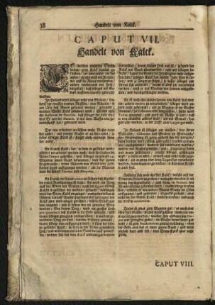 Caput VII. Handelt von Kalck