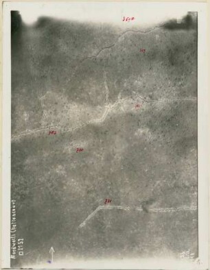 Foto von Stellungen nordwestlich von Chattancourt (Luftbild)