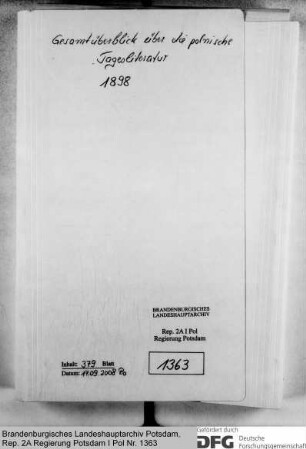 Gesamtüberblick über die polnische Tagesliteratur