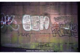 ISM