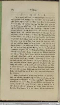 Fischbein