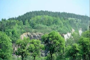 Baumgruppe, dahinter Steinbrüche