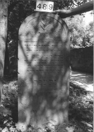 Grabstein 489