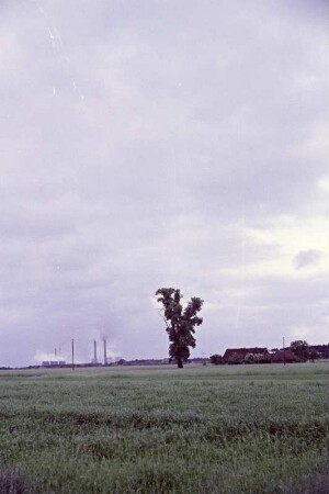 Landschaft bei Schwarze Pumpe mit Blick auf die Kühltürme des Gaskombinats Schwarze Pumpe. : Krajina pola Čorneje Pumpy z widom na chłódźenske wěže płunokombinata Čorna Pumpa.