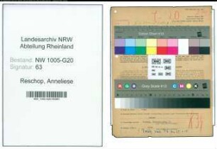 Entnazifizierung Anneliese Reschop , geb. 06.02.1900 (Holzhaendlerin)