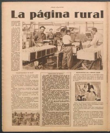 "Cosechadoras de maíz"