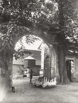Breunsdorf (1994 devastiert). Gehöft Nr. 38, Blick durch die Einfahrt zum Taubenhaus
