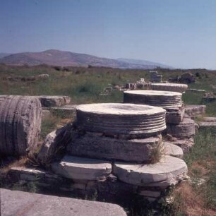Samos. Rhoikos-Tempel. Heraion. Säulenbasis, ionisch, vom Rhoikos-Bau des 6. Jh. E70