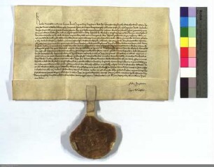 Kaiser Karl IV. nimmt das Elisabethenhospital zu Marburg und namentlich dessen Almosensammler in seinen Schutz.