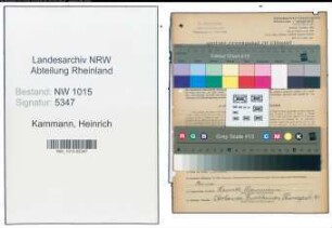 Entnazifizierung Heinrich Kammann , geb. 22.05.1901 (Chauffeur)