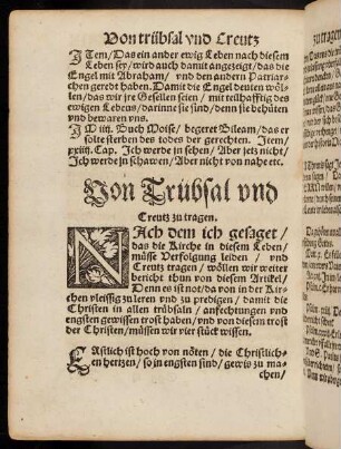 294v-305r, Von Trübsal und Creutz zu tragen