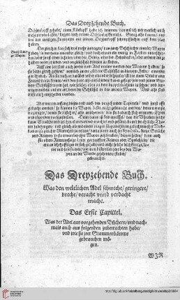 Das Dreyzehende Buch