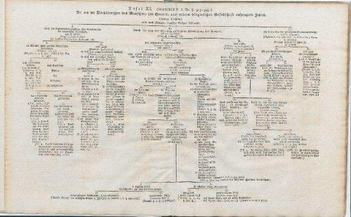 Tafel XI. [bis Tafel XX.]