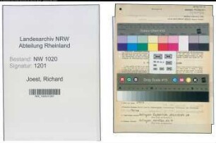 Entnazifizierung Richard Joest , geb. 02.09.1908 (Metzger)