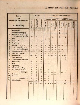 Übersicht der Strafrechtspflege im Großherzogthum Baden, 1845