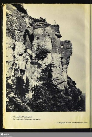 Klettergebiet Weserbergland. Der Hohnstein (Kalkgestein und Mergel)