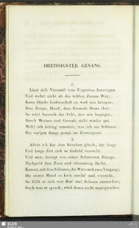Dreissigster Gesang