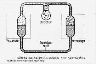 Schema des Kältemittelkreislaufes einer Kältemaschine nach dem Kompressionsprinzip