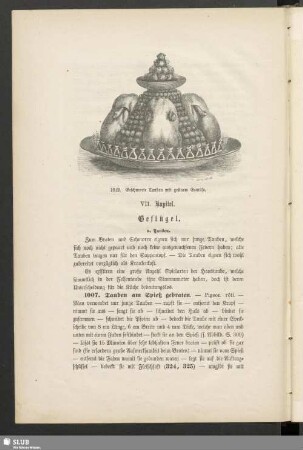 VII [i.e. VIII]. Kapitel. Geflügel
