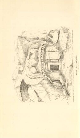 Tiger cave, Udayagiri