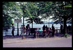 Kladow Uferpromenade 12.7.64.