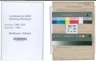 Entnazifizierung Wilhelm Bretthauer , geb. 28.06.1890 (Landesinspektor)