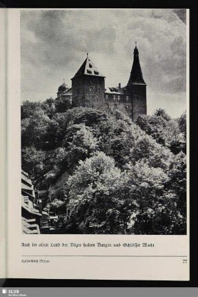 Kaiserschloß Mylau