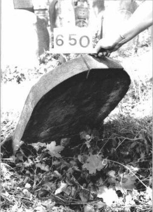 Grabstein 650