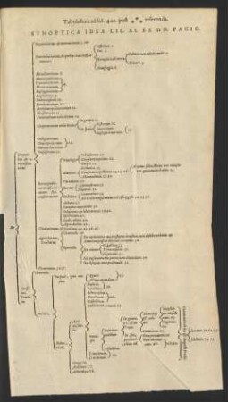 Synoptica Idea Lib. XI. Ex Dn. Pacio