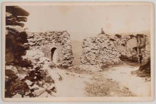 Lausitzer Gebirge (Luzické hory/Tschechien). Burgruine Tollenstein (Tolstejn). Photographie; 105 x 161 mm. Aufnahme 1892