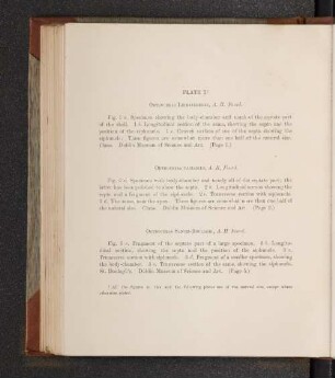 Plate I. - Plate XLIX.