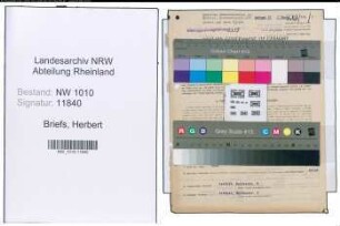 Entnazifizierung Herbert Briefs , geb. 03.09.1898 (Werkstoffingenieur)