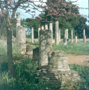 Olympia. Ruine der Palästra