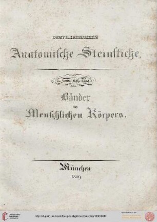 II. Abtheilung: Bänder des Menschlichen Körpers