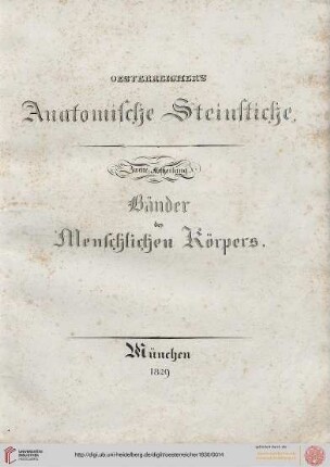 II. Abtheilung: Bänder des Menschlichen Körpers