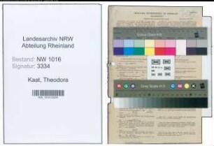 Entnazifizierung Theodora Te Kaat , geb. 07.12.1890 ()