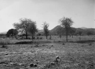 Hügellandschaft : Spärliche Vegetation in einer Hügellandschaft in Eritrea