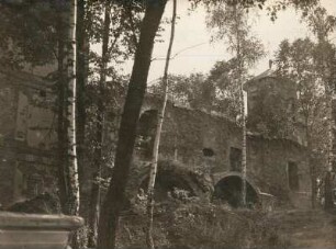 Tost (Toszek/Polen), Ruine der Burg Tost