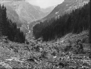 Gerodeter Berghang : Ein gerodeter Berghang mit partiellem Waldbestand