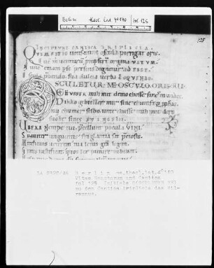 Vitae sanctorum, Hugo von Sankt Viktor, Williram von Ebersberg — Initiale O (sculetur me), Folio 125 recto