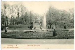Freiberg. Im Albertpark