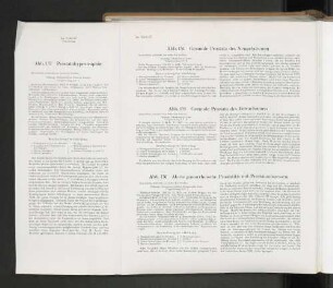 Abb. 134 Gesunde Prostata des Neugeborenen