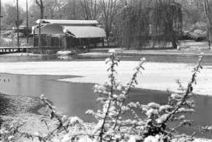 Winterstimmung im Stadtgarten