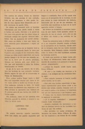 Capítulo VIII - La huida