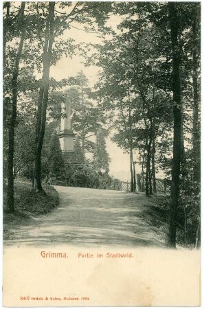 Grimma. im Stadtwald