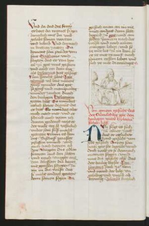 Federzeichnung: Hilarius