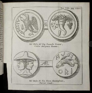 Tav. VII. pag. CXXVI.