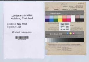 Entnazifizierung Johannes Krichel , geb. 09.04.1890 (Kaufmann)