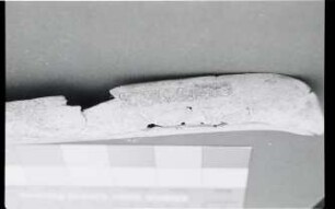 Tikal, Miscellaneous Text 51B (TIK: MT. 51B)