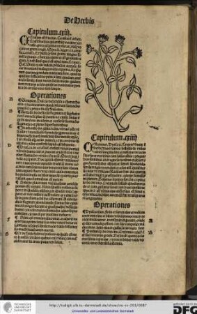 Cerasum est fructus. cerasus est arbor et est fructus qui arabice vocatur cerafie, grece et latine cerafar et aliqui vocant ea grana regum.